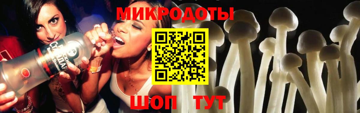 хочу наркоту  Псилоцибиновые грибы MAGIC MUSHROOMS  Вход с VPN  Псилоцибиновые грибы Magic Shrooms  Заринск 